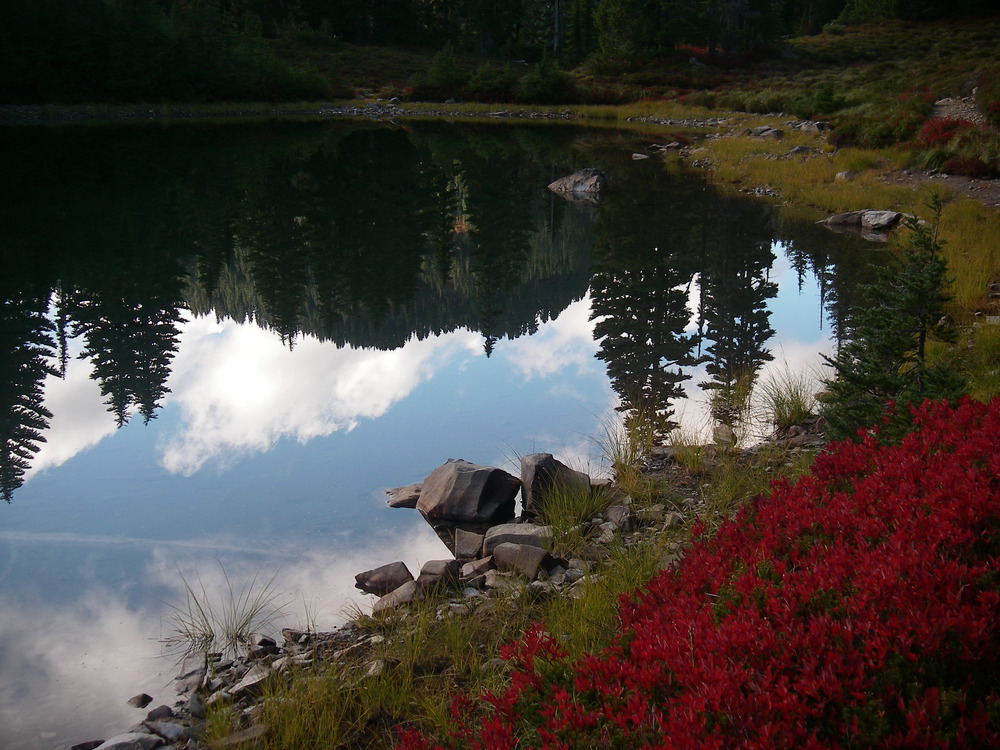 Open peninsula landscape west of Chimacum toward the Olympic rain shadow